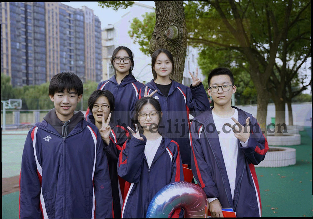 米白与岩灰色调的档案卡与分类标签并排铺开，边缘带索引编号